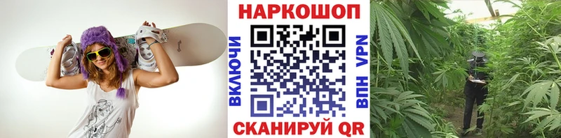 A PVP Пионерский