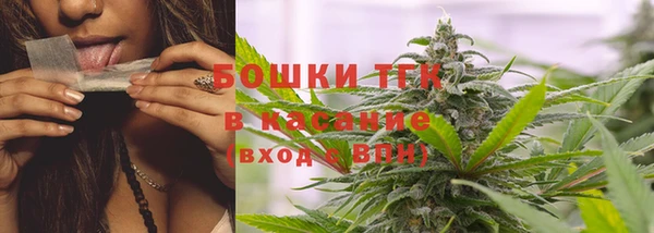 прущие крисы Богданович