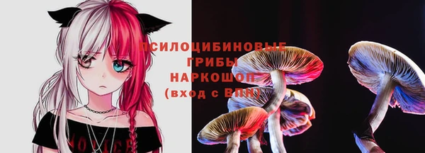 прущие крисы Богданович