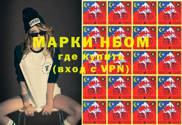 прущие грибы Богородск