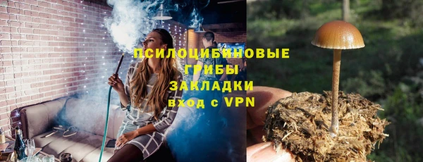 прущие крисы Богданович