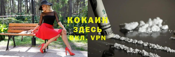 прущие грибы Богородск