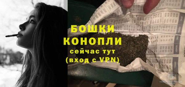 прущие грибы Богородск