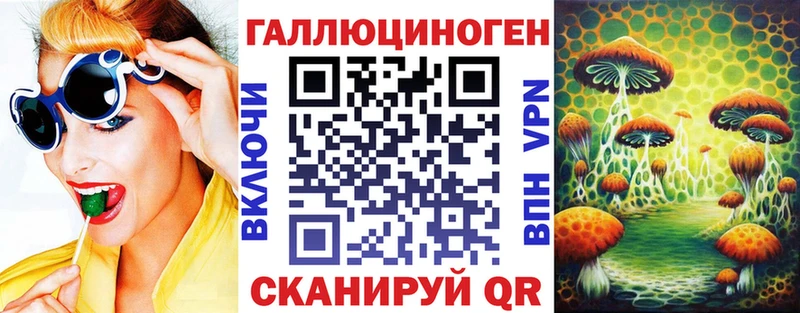 kraken tor Пионерский Псилоцибиновые грибы Cubensis